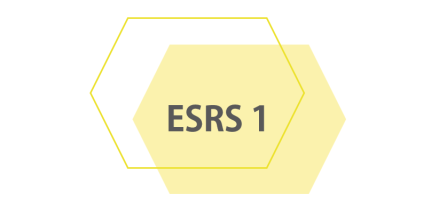 ESRS 1