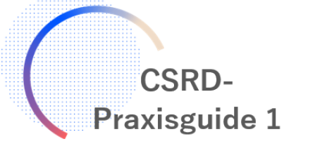 CSRD Praxisguide